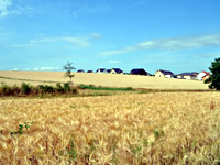Knittlingen Jörg Bussmann