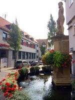 Brackenheim Oliver Hess