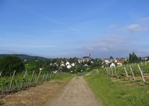 Das Panorama von Weiler bei Bingen