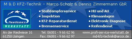 ProfiService Werkstatt Usingen