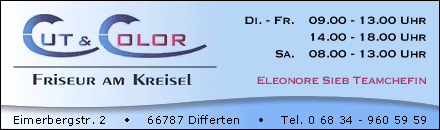 Friseur Cut & Color Differten