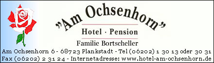 Hotel am Ochsenhorn