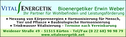 Vitalenergetik