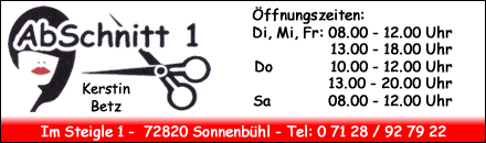 Abschnitt 1