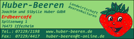 Huber-Beeren