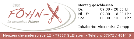 Salon Föhn-X